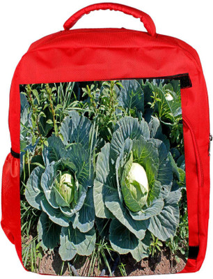 

Snoogg Eco Friendly Canvas Cabbage In Garden Backpack Rucksack School Travel Unisex Casual Canvas Bag Bookbag Satchel 5 L Backpack(Red)