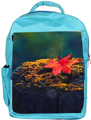 

Snoogg Eco Friendly Canvas Autumn Sunset Backpack Rucksack School Travel Unisex Casual Canvas Bag Bookbag Satchel 5 L Backpack(Blue)