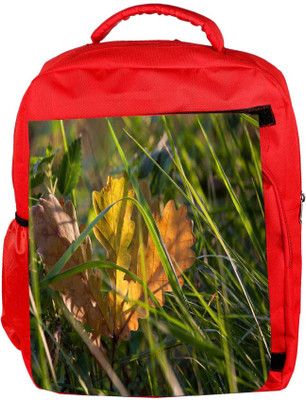 

Snoogg Eco Friendly Canvas Frozen Leaf Unique Designer Backpack Rucksack School Travel Unisex Casual Canvas Bag Bookbag Satchel 5 L Backpack(Red)