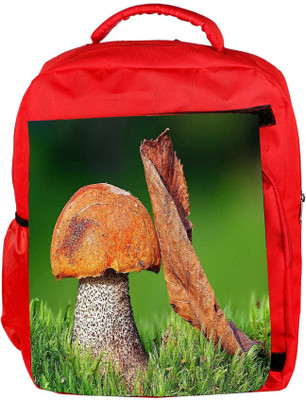 Snoogg Eco Friendly Canvas Mushroom And Dried Leaf Designer Backpack Rucksack School Travel Unisex Casual Canvas Bag Bookbag Satchel 5 L Backpack(Red)