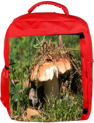 

Snoogg Eco Friendly Canvas Broken Mushroom Designer Backpack Rucksack School Travel Unisex Casual Canvas Bag Bookbag Satchel 5 L Backpack(Red)