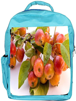 

Snoogg Eco Friendly Canvas Autumn Backpack Rucksack School Travel Unisex Casual Canvas Bag Bookbag Satchel 5 L Backpack(Blue)