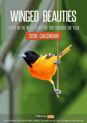 

Tallenge Winged Beauties - Best Selling Birds Wall Calendar 2018 For Home & Office Decor 2018 Wall Calendar(Multicolor, Bird Calendar)