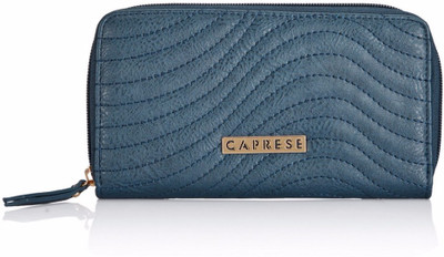 

Caprese Casual Blue Clutch