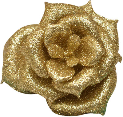 

BELLA HARARO SET OF 2 GOLDEN HAIR CLIP FOR HAIR DECORATION Hair Clip(Gold)