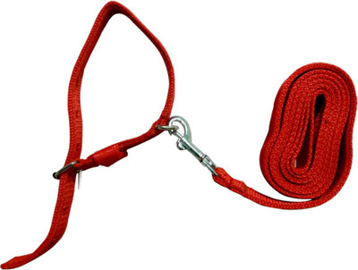 

snktraders Dog & Cat Collar & Leash(, Red