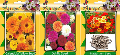 

Airex Calendula Yellow, Dahlia and Nasturtium Flower seeds (Pack of 25 Seeds Per Packet) Seed(25 per packet)