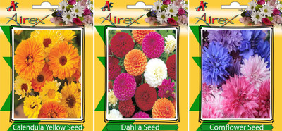 

Airex Calendula Yellow, Dahlia and Cornflower Flower seeds (Pack of 20 Seeds Per Packet) Seed(20 per packet)