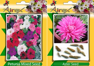 

Airex Petunia Mixed and Aster Flower seeds (Pack of 15 Seeds Per Packet) Seed(15 per packet)