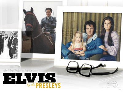 

Elvis Presley Wall Poster PWRGVALPHAPOS2194 Paper Print(18 inch X 12 inch, Rolled)