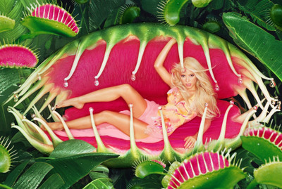 

Shakira Wall Poster PWRGVALPHAPOS1419 Paper Print(18 inch X 12 inch, Rolled)