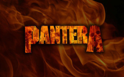 

Pantera Wall Poster PWRGVALPHAPOS2879 Paper Print(18 inch X 12 inch, Rolled)