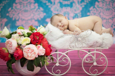 

poster of cute babies Paper Print(12 inch X 18 inch, rolled)