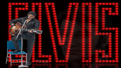 

Elvis Presley Wall Poster PWRGVALPHAPOS2243 Paper Print(18 inch X 12 inch, Rolled)