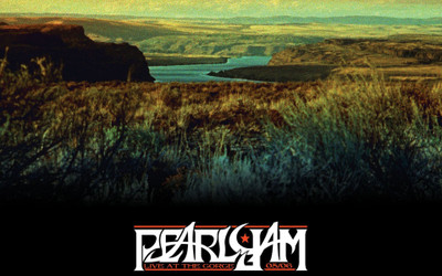 

Pearl Jam Wall Poster PWRGVALPHAPOS2797 Paper Print(18 inch X 12 inch, Rolled)