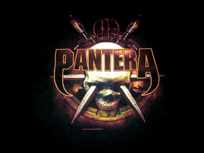 

Pantera Wall Poster PWRGVALPHAPOS2882 Paper Print(18 inch X 12 inch, Rolled)