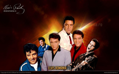 Elvis Presley Wall Poster PWRGVALPHAPOS2240 Paper Print(18 inch X 12 inch, Rolled)