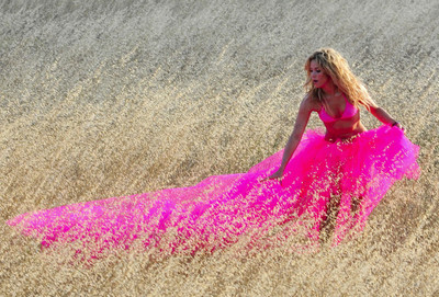 

Shakira Wall Poster PWRGVALPHAPOS1392 Paper Print(18 inch X 12 inch, Rolled)