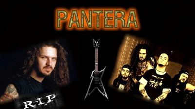 

Pantera Wall Poster PWRGVALPHAPOS2878 Paper Print(18 inch X 12 inch, Rolled)