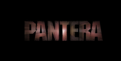 

Pantera Wall Poster PWRGVALPHAPOS2871 Paper Print(18 inch X 12 inch, Rolled)