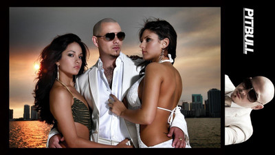 

Pitbull Wall Poster PWRGVALPHAPOS1846 Paper Print(18 inch X 12 inch, Rolled)