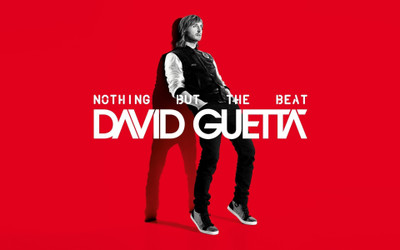 

David Guetta Wall Poster PWRGVALPHAPOS2335 Paper Print(18 inch X 12 inch, Rolled)