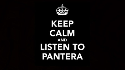 

Pantera Wall Poster PWRGVALPHAPOS2867 Paper Print(18 inch X 12 inch, Rolled)