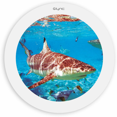 

GLYNC Picture Light Wall Lamp