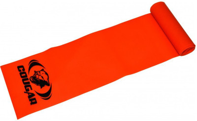 Cougar Fitness Band Light Fitness Band(Red, Pack of 1)