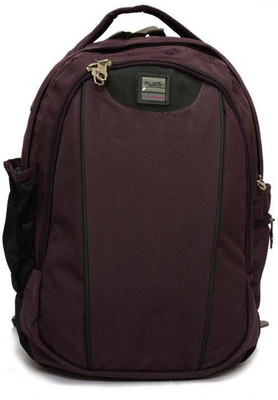 

REDAN 15.6 inch Laptop Backpack(Purple)