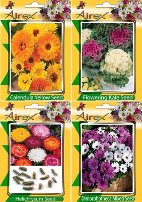 Airex Calendula Yellow, Flowering Kale, Helichrysum and Dimorphotheca Mixed Flower seeds (Pack of 20 Seeds Per Packet) Seed(20 per packet)