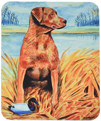 

Caroline's Treasures Chesapeake Bay Retriever MousePad Mousepad(Multicolor)