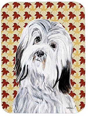 

Caroline's Treasures Havanese Fall Leaves MousePad Mousepad(Multicolor)