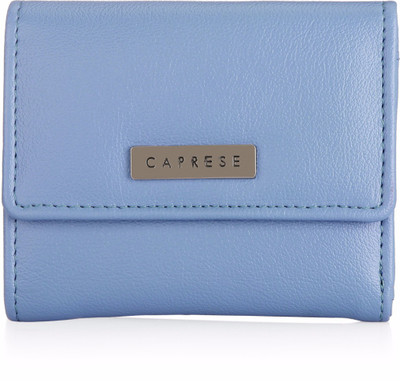 

Caprese Casual Blue Clutch