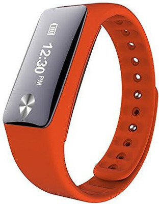 

Opta Heat Rate Series(Orange Strap, Size : 256)