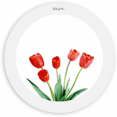 

GLYNC Picture Light Wall Lamp