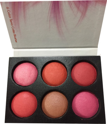 

LUV-LI PROFESSIONAL 6 COLOR TERRA COTTA BLUSHER(MULTICOLOR)