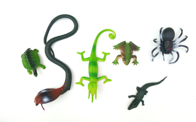 

Aparnas reptile learning toys- Learning and Educational Toy + Made of Rubber + Non-Toxic (Multicolor)(Multicolor)