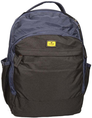 

Liviya SB384 15 L Backpack(Black, Blue)