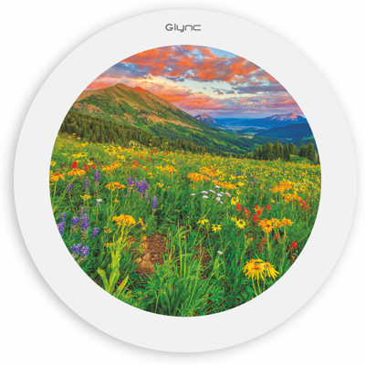 

GLYNC Picture Light Wall Lamp