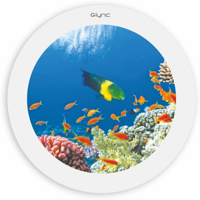 

GLYNC Picture Light Wall Lamp