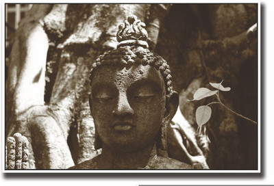 

Aabhaas Buddha Wall Poster Fine Art Print(12 inch X 18 inch, Rolled)