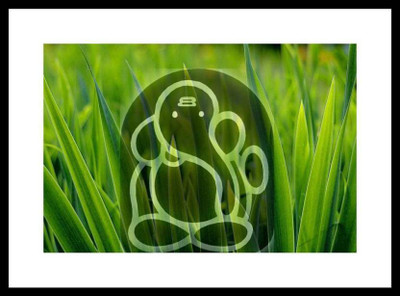 

Load Ganesha (18 inch X 12 inch) Glossy Paper Print Paper Print(12 inch X 18 inch)