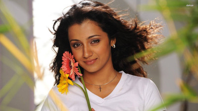 

Aabhaas Trisha Krishnan Wall Poster Fine Art Print(12 inch X 18 inch, Rolled)