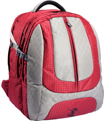 

PINBALL AVENGER DAYPACK BAG 25 L Backpack(Maroon), Meron grey