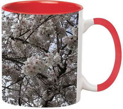 Ashvah Patterns 096 Ceramic Coffee Mug(350 ml)