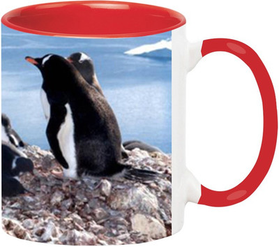 Ashvah Penguin 670 Ceramic Mug(350 ml) available at flipkart for Rs.320