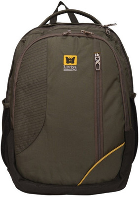 Liviya LP-1236 31 L Laptop Backpack(Green)