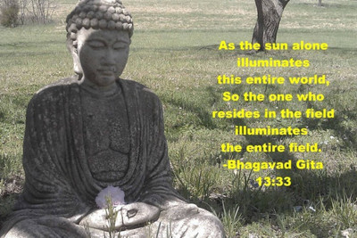

Aabhaas Buddha Wall Poster Fine Art Print(12 inch X 18 inch, Rolled)