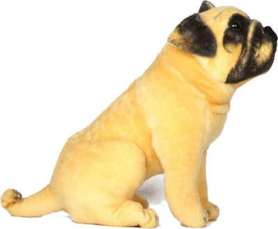 

CRAFTKAAR MDLPCKPUG32cm - 29 cm(Black,White, Brown,Multicolor)